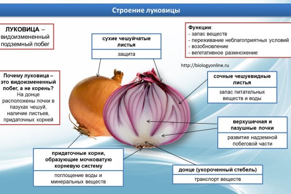 Кракен сайт даркнет зеркало